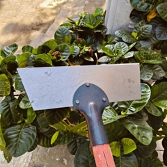 sủi 1m2