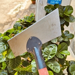 sủi 1m2
