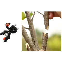 Kéo cắt ghép chiết cành cây