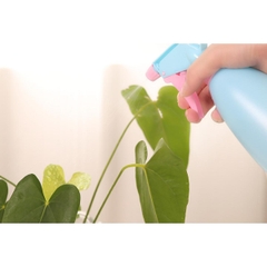 Bình Xịt Nước Tưới Cây Mini Có Chế Độ Phun Sương