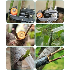 Kéo cắt ghép chiết cành cây