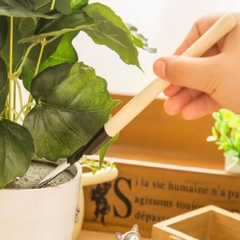 Bộ 3 Cuốc Xẻng Mini Chăm Sóc Cây Cảnh
