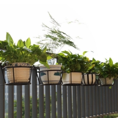 Giỏ Treo Chậu Hoa Ban Công Có Móc Đường Kính 22 Cm