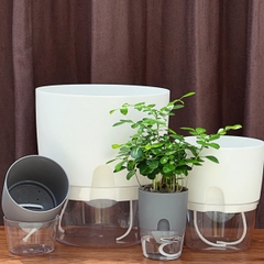 Chậu Cây Tự Tưới Để Bàn Có Khay Chứa Nước