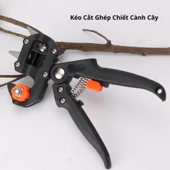 Kéo cắt ghép chiết cành cây