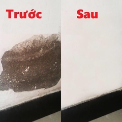 Keo Vá Tường Chống Thấm Trám Vết Nứt Khe Hở Tường Chống Mốc Ẩm Làm Sạch Tường