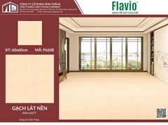 Gạch lát nền 60x60 cm F6608 men matt