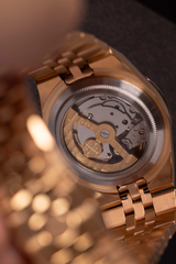 ĐỒNG HỒ NAM ALEXANDER FERROS AUTOMATIC 8272R/022