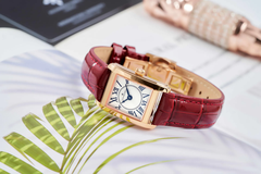 Đồng Hồ Nữ Alexander Ferros 7282R-02