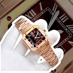 ĐỒNG HỒ NAM CARNIVAL AUTOMATIC NÂU 8169G-VH-N