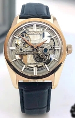 ĐỒNG HỒ NAM BERLINK AUTOMATIC BK5023-G02