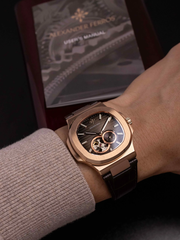 ĐỒNG HỒ ALEXANDER FERROS 6312R-01