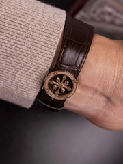 ĐỒNG HỒ ALEXANDER FERROS 6312R-01