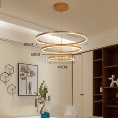 ĐÈN THẢ DECOR ART391V