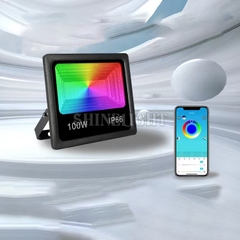 ĐÈN LED PHA 100W SLFLS100