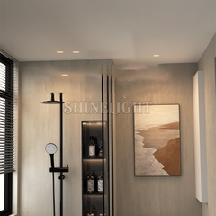 ĐÈN DOWNLIGHT ÂM TRẦN CBVIP75