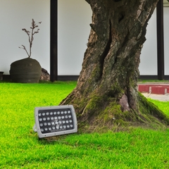 Đèn chiếu cây SLPL48