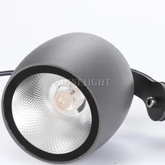 ĐÈN CHIẾU CÂY SLT17