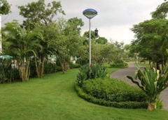 Đèn con mắt DC10-2-EYES