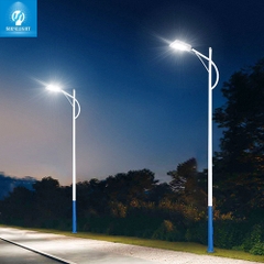 Đèn đường led SLBTP01 100W