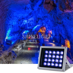 Đèn chiếu cây SLPL20