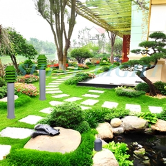 Đèn nấm cây thông