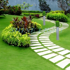 Đèn nấm cây thông