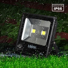 Đèn pha LED SLMS21