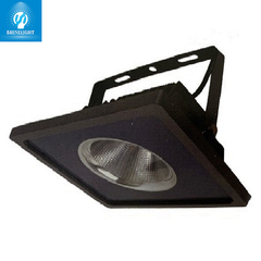 Đèn pha led SLSPL50