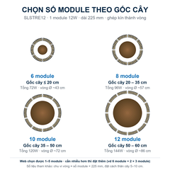 Đèn chiếu cây SLSTRE12