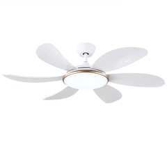 Quạt trần đèn SL218