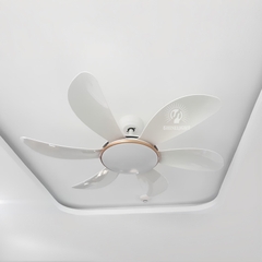 Quạt trần đèn SL218