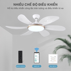 Quạt trần đèn SL218