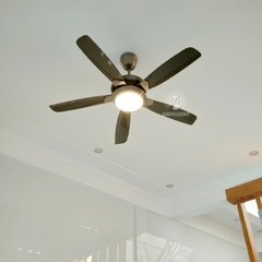 Quạt trần đèn SL818