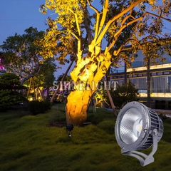 Đèn rọi cột SL-RCDNT