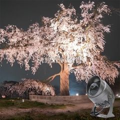 Đèn rọi cột SL-RCKK