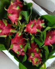 Thanh long đỏ Bình Thuận