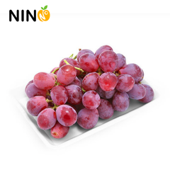 Nho đỏ Chile (có hạt)