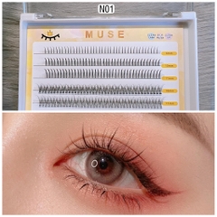 Lông Mi Giả Chùm Tự Nối mi sợi, mi cụm Dáng Chữ A Chữ V Mix Size