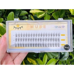 Lông Mi Giả Chùm Tự Nối mi sợi, mi cụm Dáng Chữ A Chữ V Mix Size