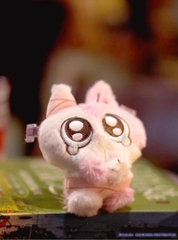 AZUKISAN Magical Theatre Plush Series