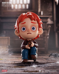 HARRY POTTER The Prisoner Of Azkaban Figure Series