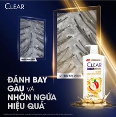 Dầu gội CLEAR 48H sạch gàu ngứa 880G - CLEAR TÁO ĐỎ