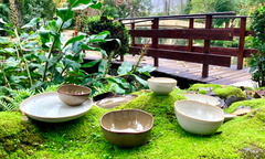 MESA GỐM ĐỐI PHÓ VỚI COVID-19