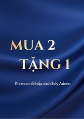(Mua 2 Tặng 1) Nồi hấp cách thủy nấu vi sóng 500ml Nhật Bản Aderia