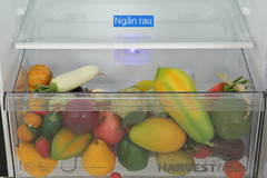 Tủ lạnh Inverter Beko 340 lít RDNT371I50VDHFSK