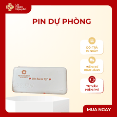 Pin Dự Phòng