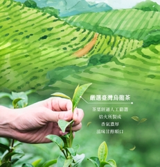 水果烏龍茶吸凍飲9入組