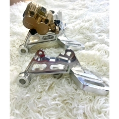 Pát sau Ex 155/150/135 đĩa 220mm xài heo 2 Pis trước Ex135