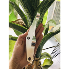 Pát trước Ex 150 đĩa 245mm heo trụ 100
